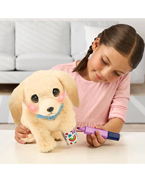 LLP Yavru Köpek İyileşiyor 26679