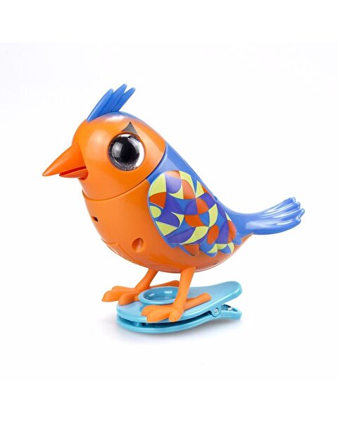 Digibirds İkili Paket Seri 1