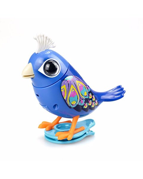Digibirds İkili Paket Seri 1