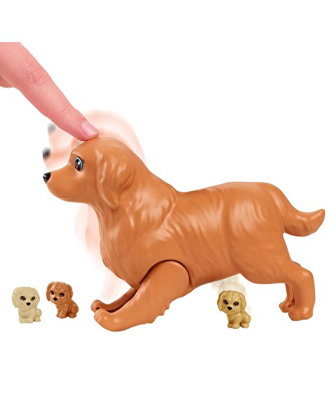 Barbie ve Yeni Doğan Köpekler Oyun Seti HCK75