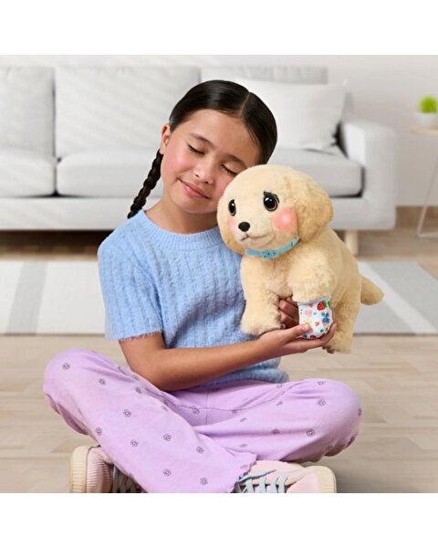 LLP Yavru Köpek İyileşiyor 26679