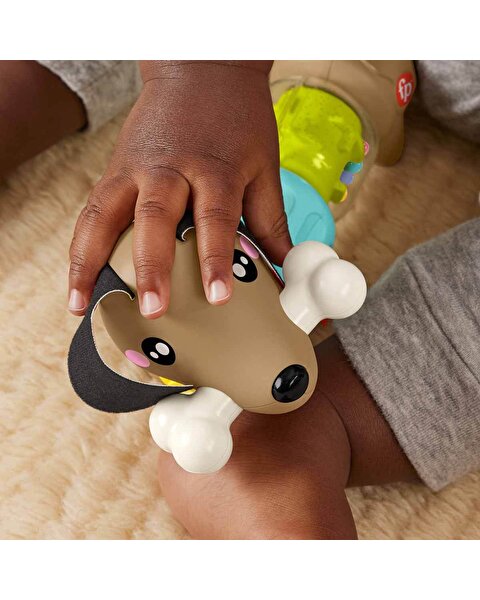 Fisher Price Köpekçikle Eğlenceli Aktiviteler HTW91