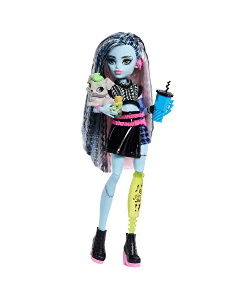 Monster High Ana Karakter Bebekler Frankiestein JHK31