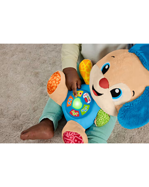 Fisher Price Eğitici Köpekçik Yeni JFD25