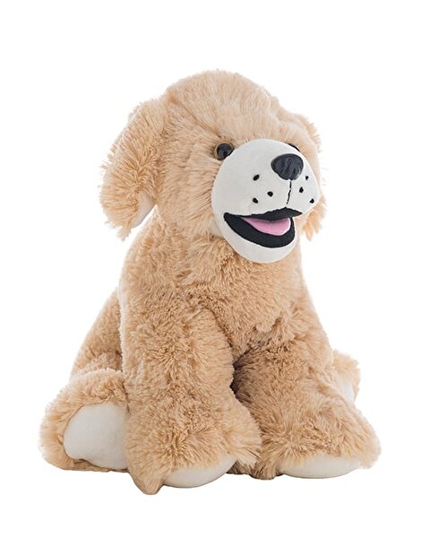Goldie Labrador Köpek 40 Cm