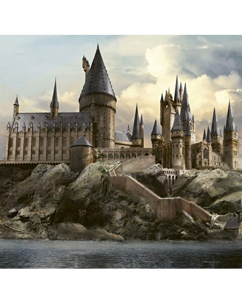 Harry Potter Hafıza Oyunu