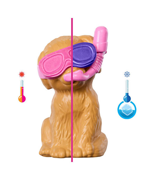 Barbie Köpekçikle Havuz Partisi Oyun Seti JBF35