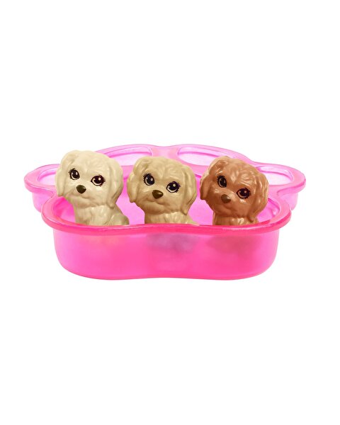 Barbie ve Yeni Doğan Köpekler Oyun Seti HCK75