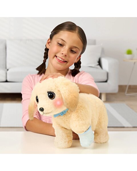 LLP Yavru Köpek İyileşiyor 26679