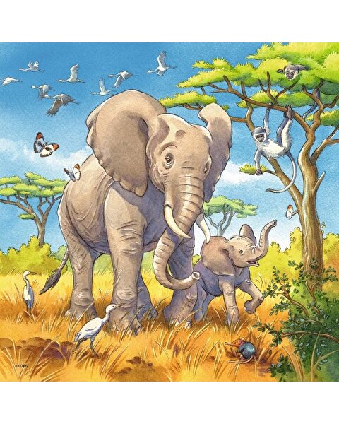 Ravensburger Wild Animals Puzzle 49x3 Parça