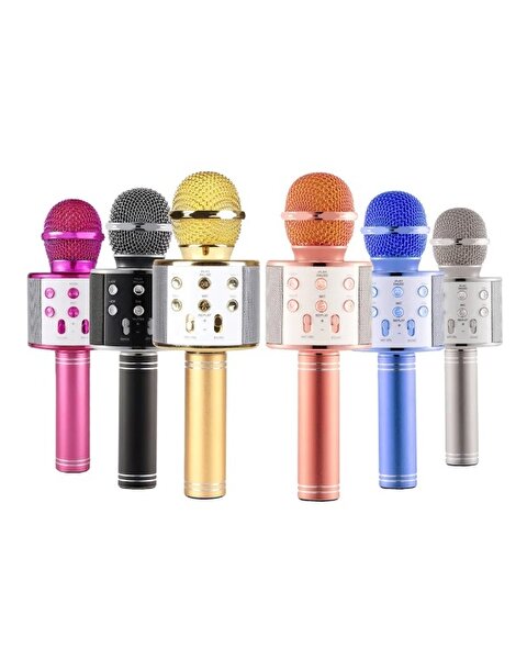 Karaoke Mikrofon WS-858