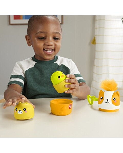 Fisher Price Taşınabilir Sevimli Dostlar HXP17