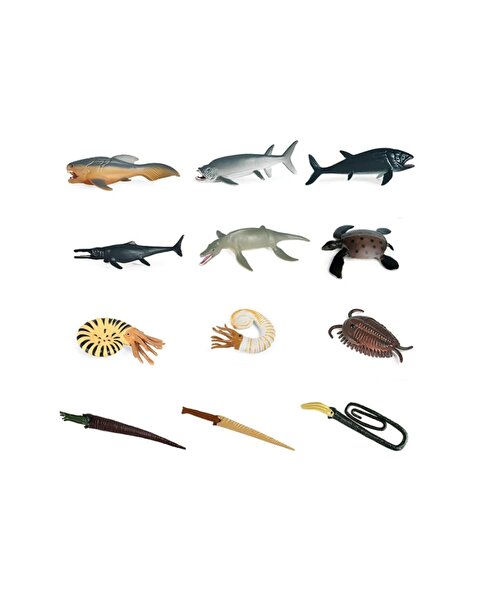 6'lı Okyanus Canlıları Hayvan Seti 2