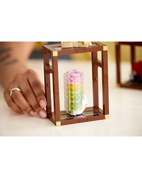 LEGO Ideas Mineral Koleksiyonu 21362