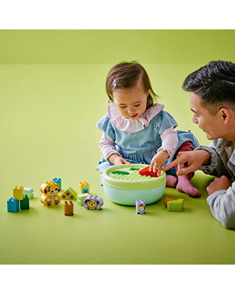 LEGO Duplo Şekil Ayırıcı: Köpek Evi 10441