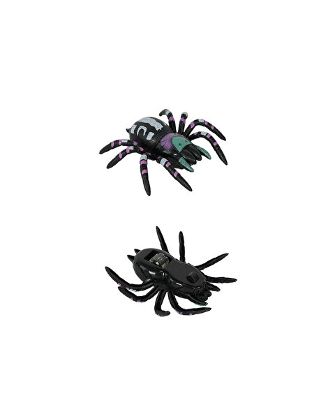 Tırmanabilen Tarantula