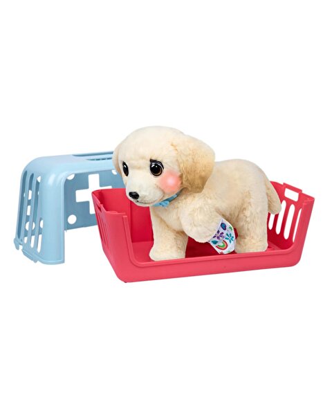 LLP Yavru Köpek İyileşiyor 26679