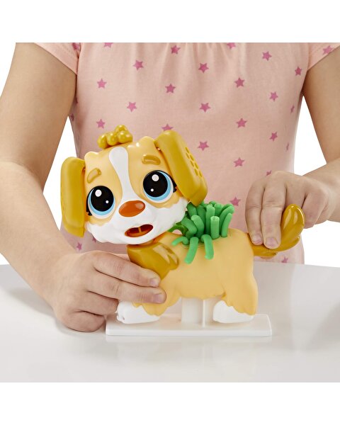 Play Doh Veteriner Seti F3639