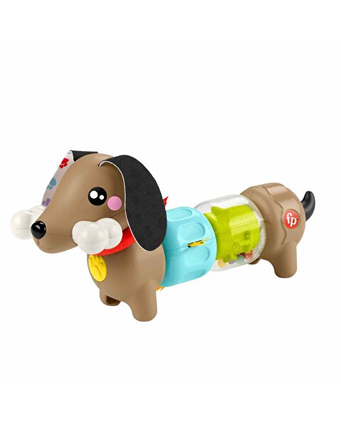 Fisher Price Köpekçikle Eğlenceli Aktiviteler HTW91