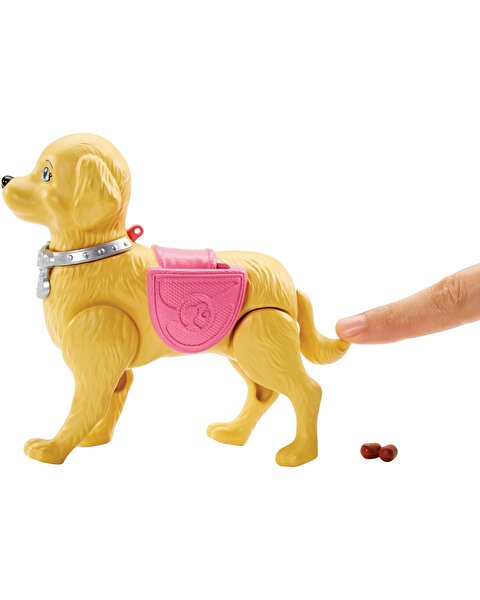 Barbie ve Tuvalet Eğitimindeki Köpeği DWJ68