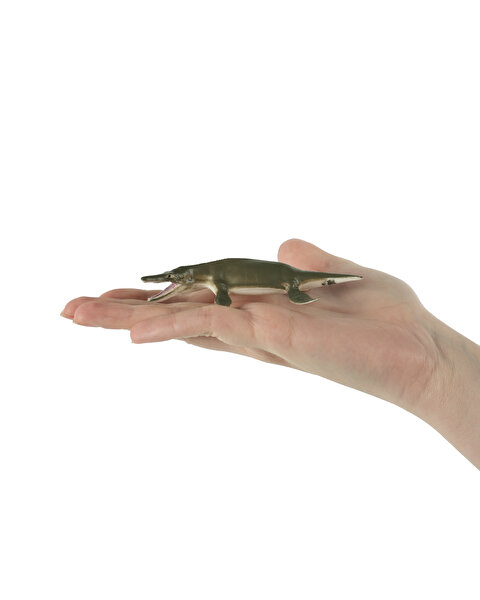 6'lı Okyanus Canlıları Hayvan Seti 2