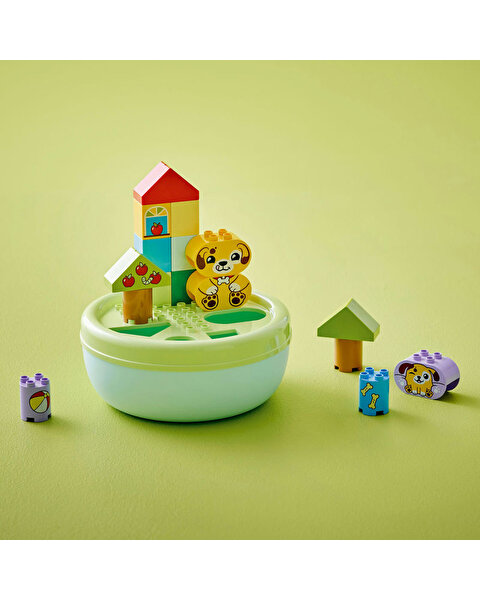 LEGO Duplo Şekil Ayırıcı: Köpek Evi 10441