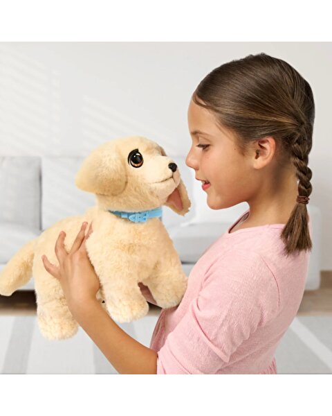 LLP Yavru Köpek İyileşiyor 26679