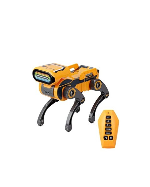 Silverlit Robo Express Uzaktan Kumandalı Robot