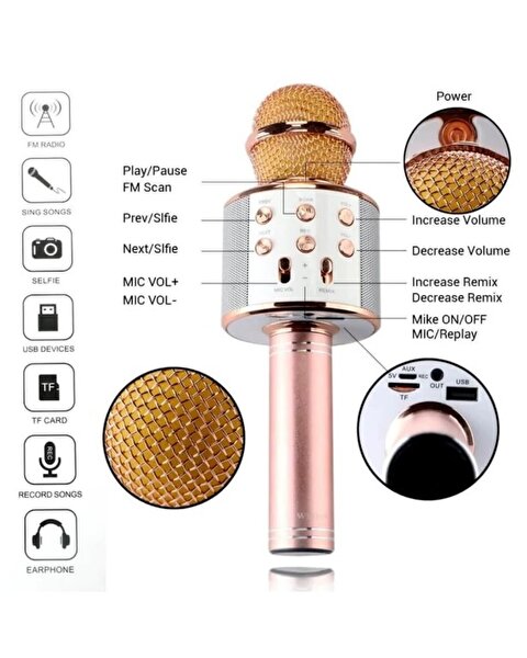 Karaoke Mikrofon WS-858