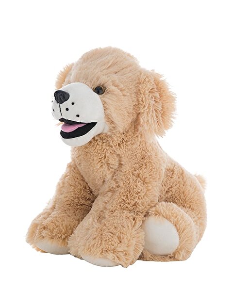 Goldie Labrador Köpek 40 Cm