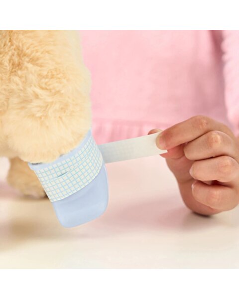 LLP Yavru Köpek İyileşiyor 26679