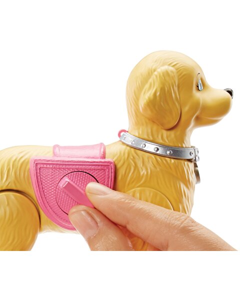 Barbie ve Tuvalet Eğitimindeki Köpeği DWJ68