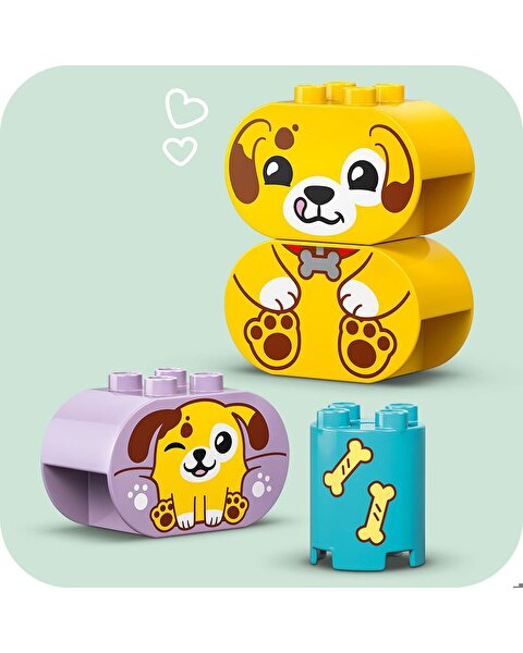 LEGO Duplo Şekil Ayırıcı: Köpek Evi 10441