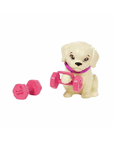 Barbie Wellness Barbie'nin Spa Günü Bebekleri HKT91