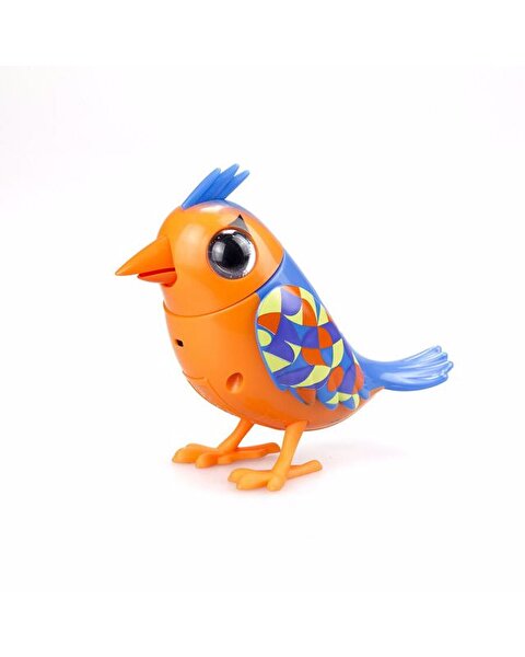 Digibirds İkili Paket Seri 1