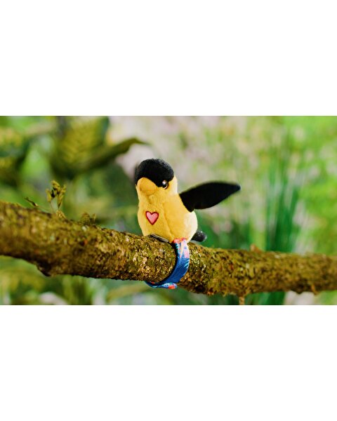 Happy Yappers Slap Bant Konuşan ve Taklit Eden Oriolus Papağan