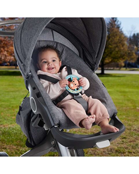 Fisher-Price Sensimals Dişlik HRB21