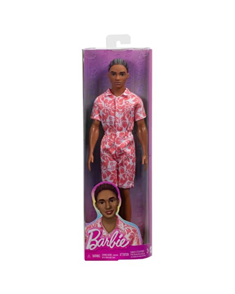 Barbie Yakışıklı Ken Bebekler HYT99