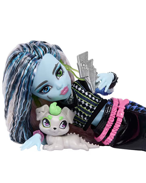Monster High Ana Karakter Bebekler Frankiestein JHK31