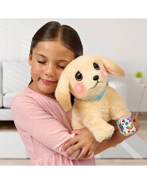 LLP Yavru Köpek İyileşiyor 26679