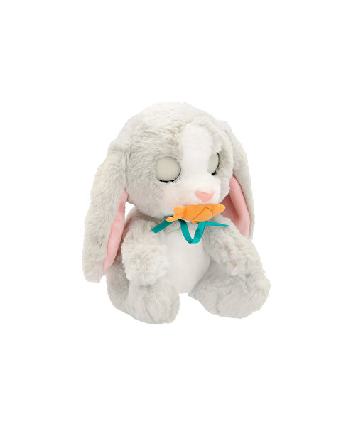 Baby Paws Sesli Tavşan 20 Cm Peluş W2-927124