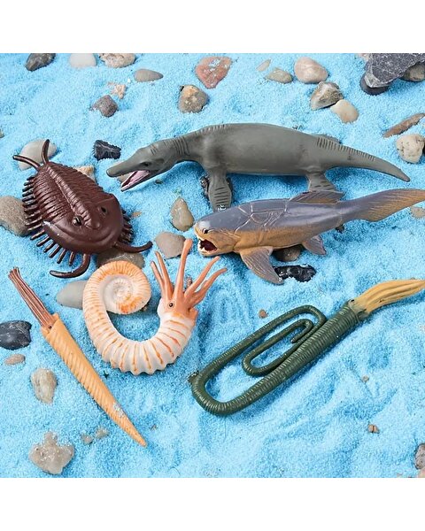 12 Parça Tüpte Deniz Hayvanları Seti