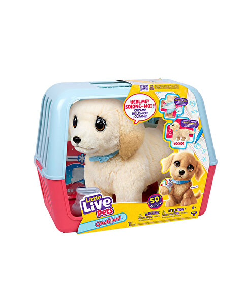 LLP Yavru Köpek İyileşiyor 26679