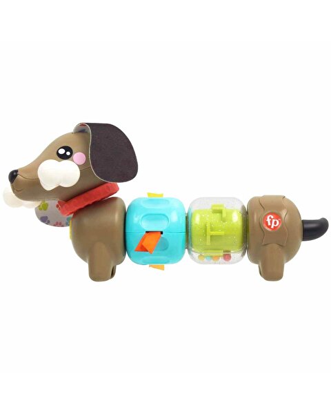 Fisher Price Köpekçikle Eğlenceli Aktiviteler HTW91