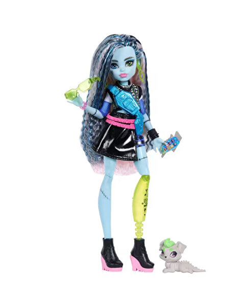 Monster High Ana Karakter Bebekler Frankiestein JHK31