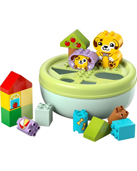 LEGO Duplo Şekil Ayırıcı: Köpek Evi 10441