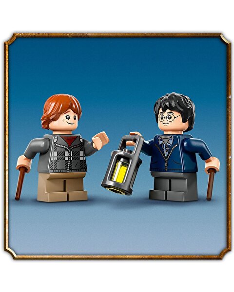 LEGO Harry Potter Aragog Yasak Orman’da 76434