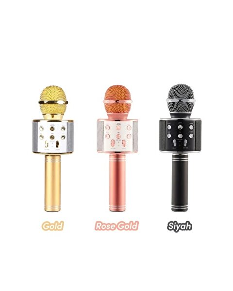 Karaoke Mikrofon WS-858