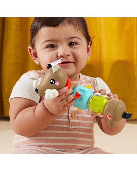 Fisher Price Köpekçikle Eğlenceli Aktiviteler HTW91