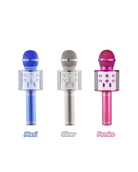 Karaoke Mikrofon WS-858